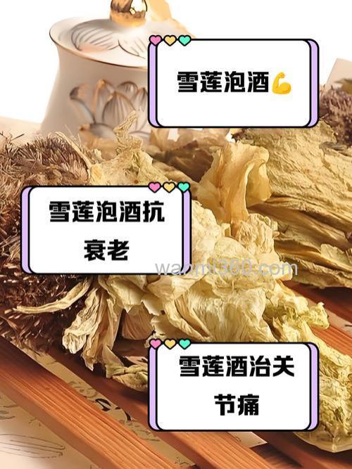 雪莲药酒怎么做好吃