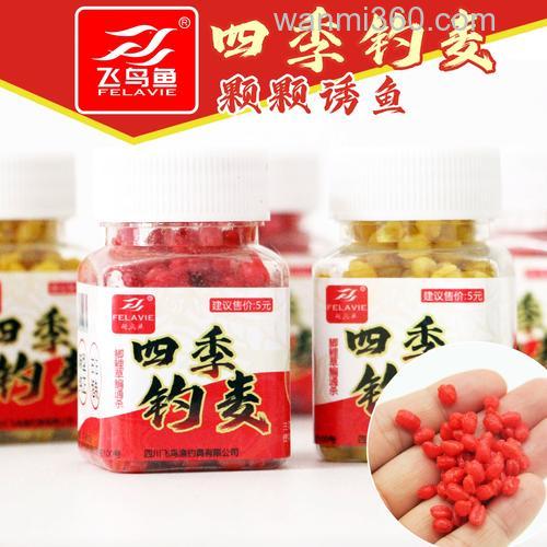 秋季钓鲤鱼用麦子好还是抖米好？