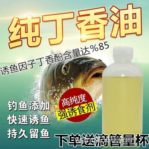 丁香酒泡蚯蚓正确方法?