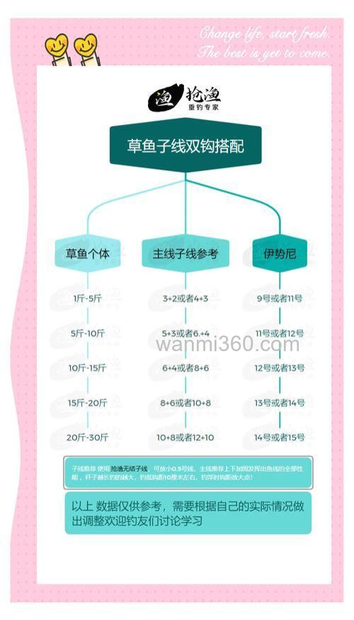 野钓草鱼线组如何搭配？