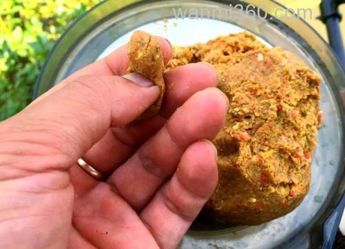 菜籽饼自制鲢鳙饵料？