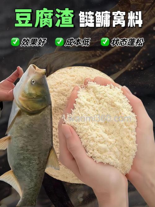 马鲢长豆渣自制鲢鳙饵料?