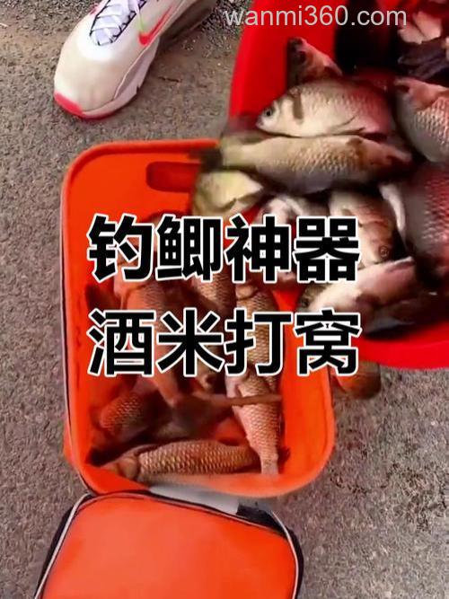 酒米一般能诱多远的鱼?什么酒米打窝效果好?