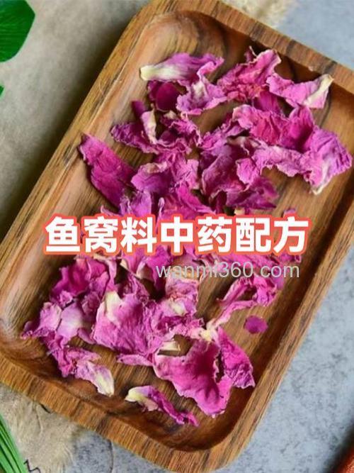 陈伟鲤鱼窝料配方？