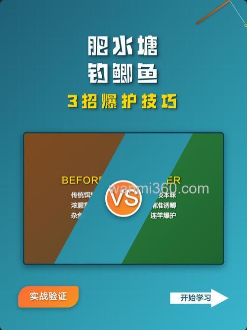 肥水塘钓鲫鱼的正确方法？