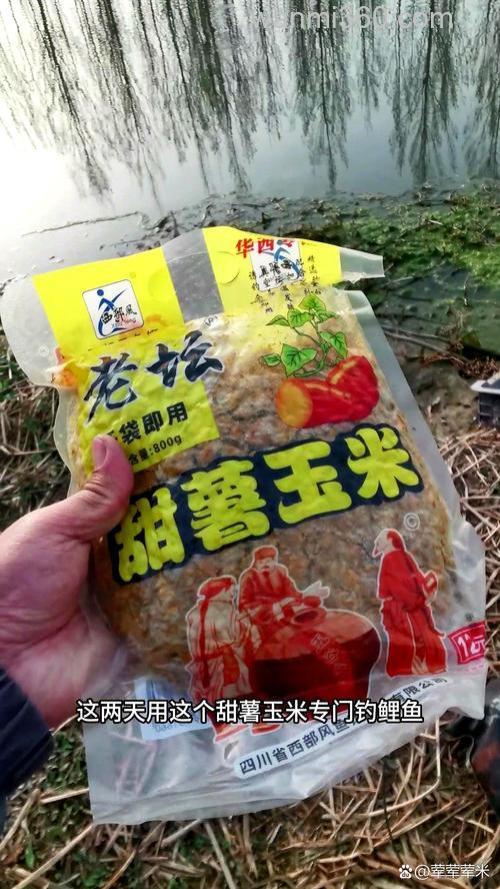 甜薯玉米和发酵玉米钓鲤鱼哪个好？