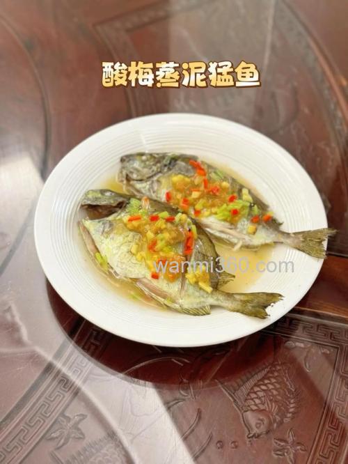 酸菜泥猛鱼潮汕做法?