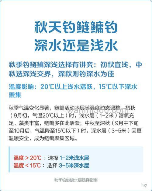 秋季钓鲢鳙多深的水合适?