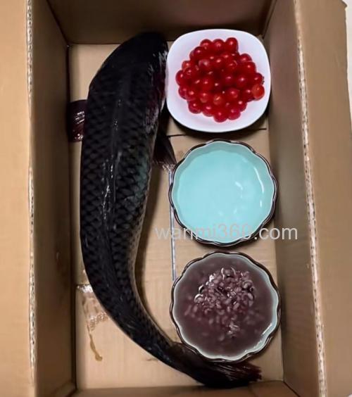 剩的饭菜可以倒水里喂鱼吗？