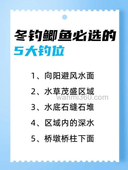 冬季野钓鲫鱼的时机与钓点选择