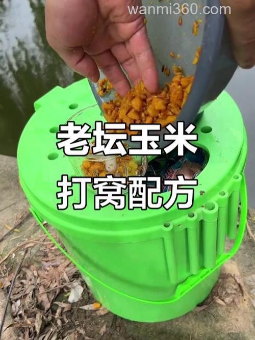 钓鱼时用玉米打窝
