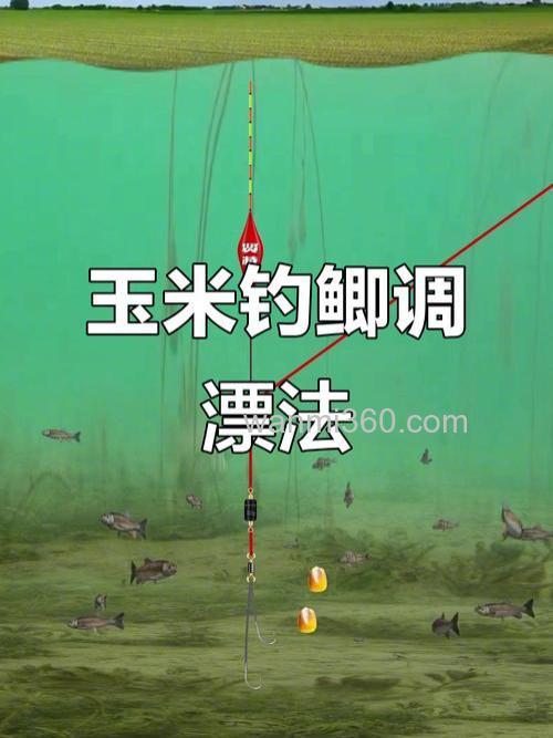 生玉米钓鲫鱼的最佳方法?