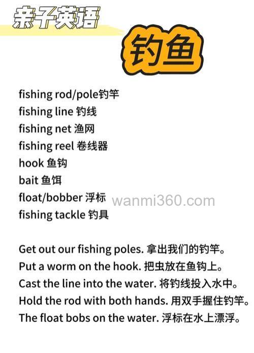 鱼饵的英文翻译?