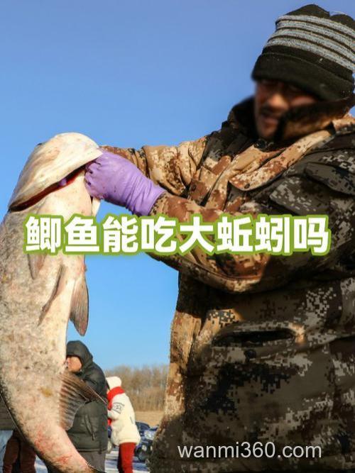 鲫鱼喜欢吃蚯蚓还是饵料?
