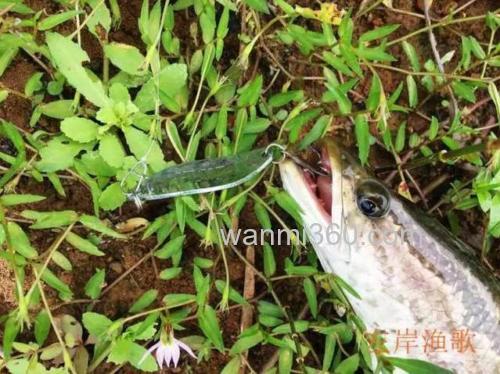 3.5克铅头钩加子弹铅？