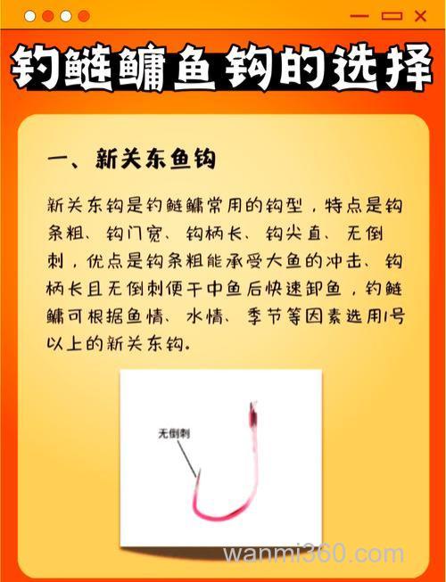 在浅水鱼塘钓鲢鳙用大钩好还是小钩好?