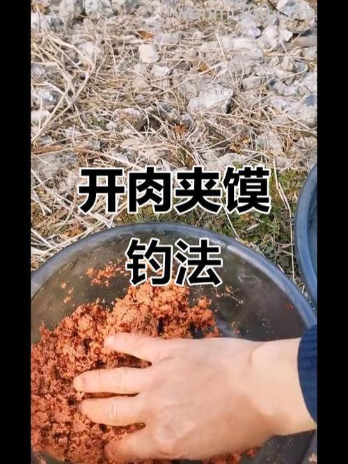 肉夹馍鱼饵一定得用腥饵吗?