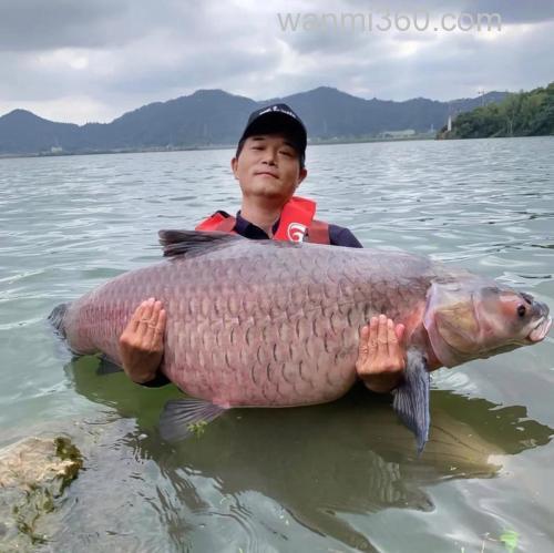 钓鱼大师都有谁?