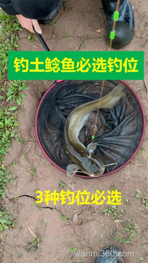 用泥鳅钓鲶鱼用多大的铅?
