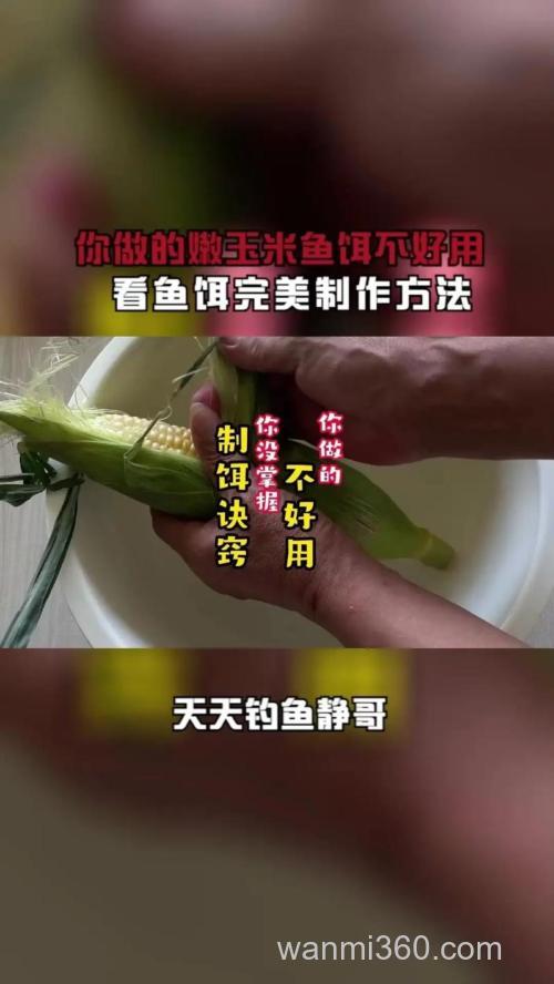 用嫩玉米怎样制作鱼饵最方便