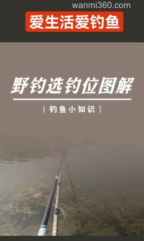 沟渠小河野钓的钓场饵料选择技巧
