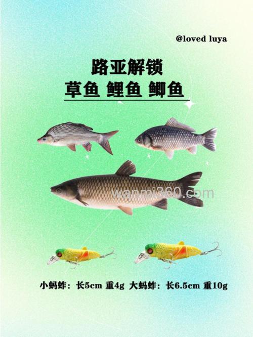 钓鲤鱼,草鱼,鲫鱼各配什么样的鱼饵好些啊?