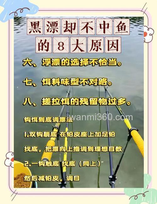 黑漂提竿不中鱼的原因有哪些?