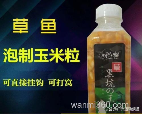 选什么玉米粒钓鱼比较好用