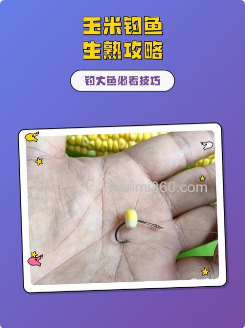 钓白条用生玉米还是熟玉米？