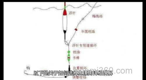 自然水域垂钓野生的鲤鱼怎么选浮漂?