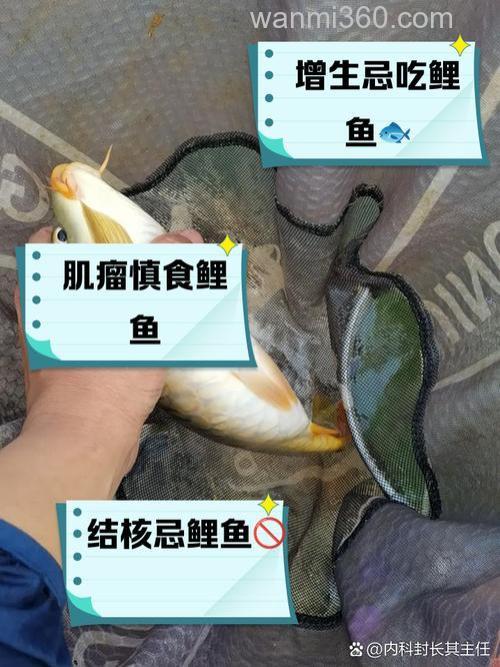 甲亢患者能吃香菜吗，能吃鲤鱼吗，或者能吃那些鱼之类的？？求解答。帮帮忙