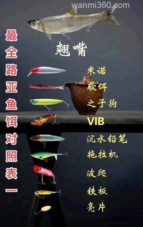 我的饵对路吗?