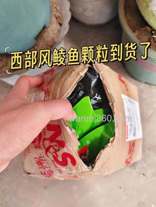 自制鲮鱼小药配方？