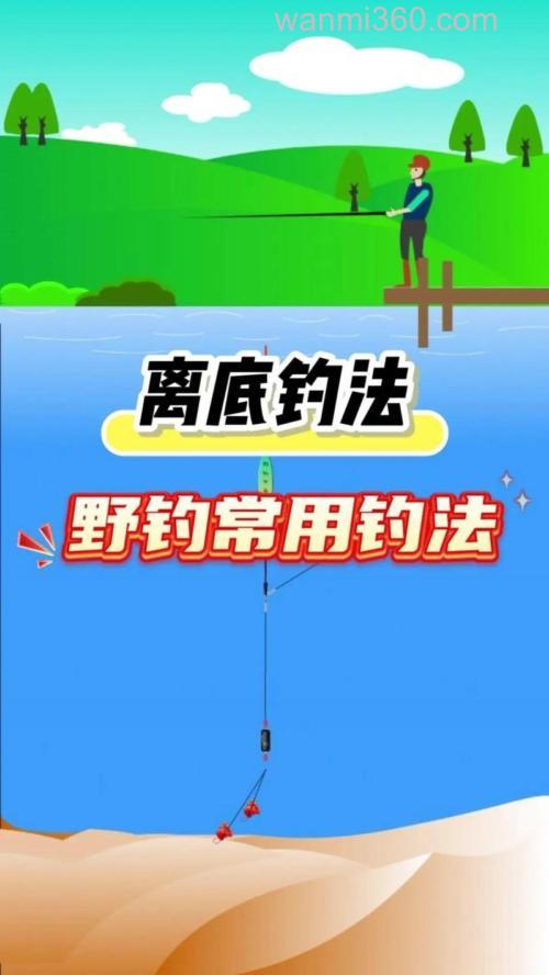 钓鲤鱼遇到这5种情况,要立马改钓底为钓浮