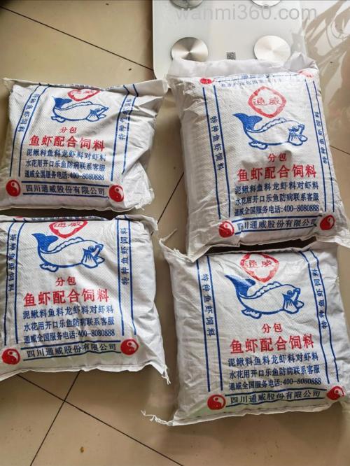 钓鲤鱼的饲料是什么