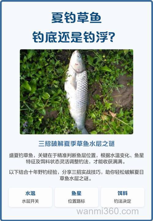 草鱼钓底还是钓浮?