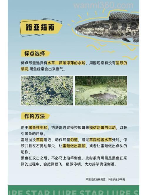 钓黑鱼攻略之黑鱼的习性、钓点与钓法选择