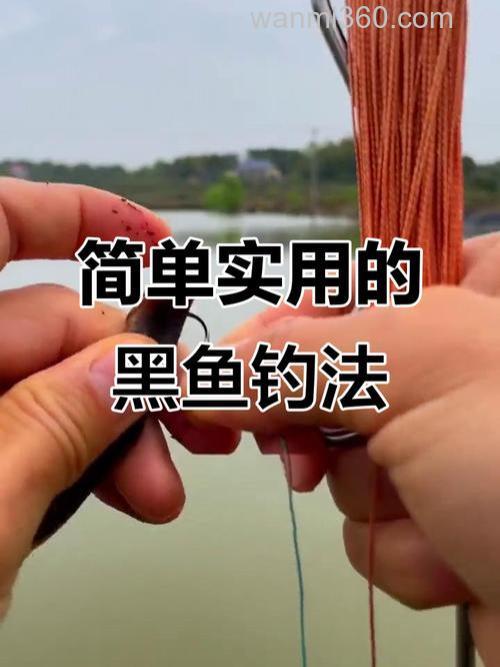 夏季荷塘钓黑鱼的3个技巧(钓饵、钓具、钓法)