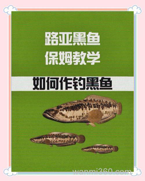路亚钓法-浅谈路亚黑鱼的技巧