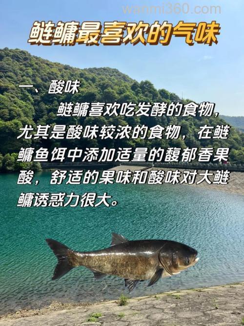 鲢鳙喜欢什么味型的氨基酸？