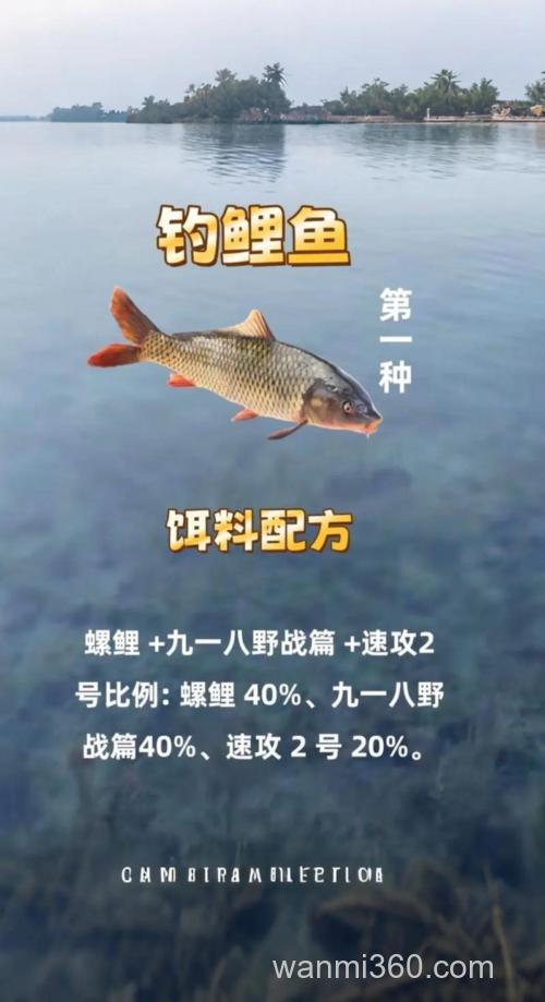 响水麦钓鲤鱼配方?