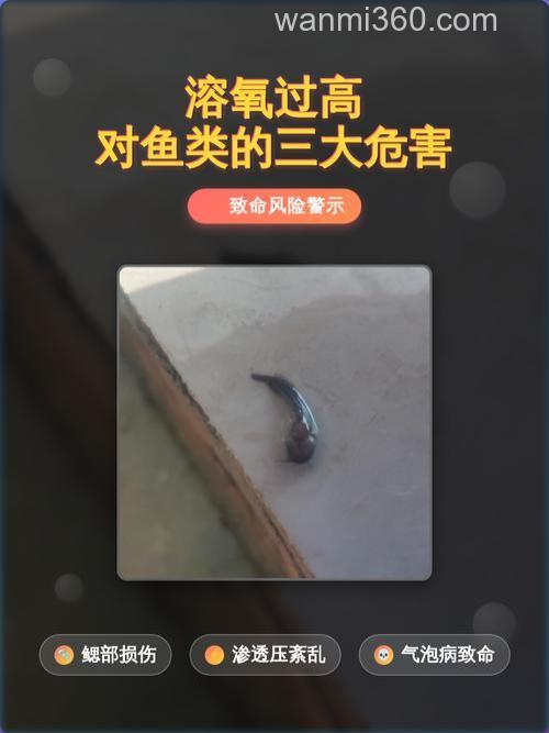 溶氧量低的时候鱼在哪?
