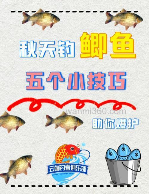 秋天鲫鱼怎么钓最好?4个要点要掌握!