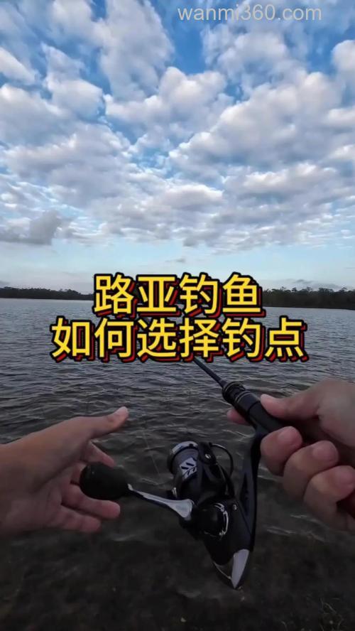 详解不同水域路亚罗非鱼的技巧