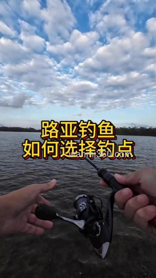 深度剖析路亚罗非鱼的技巧
