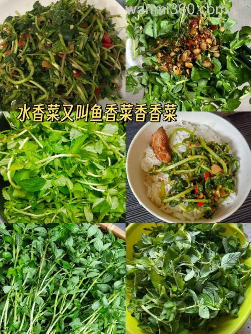 什么鱼料香?
