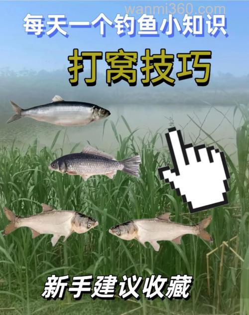 钓鱼打窝之后找不到准确位置怎么办？