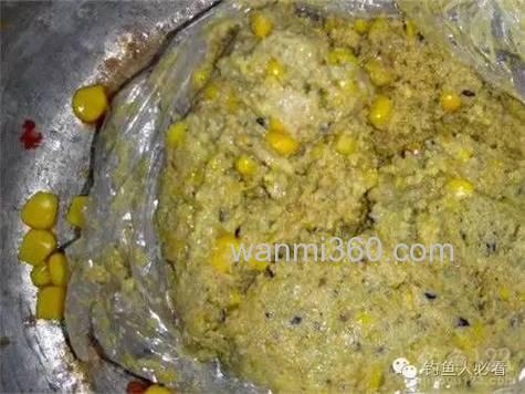 豆渣钓鲤鱼最佳配方?
