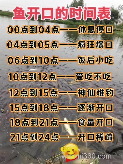 初冬晚上鱼几点开口好钓?初冬晚上钓鱼技巧和方法