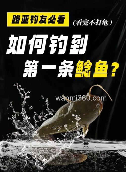 鲶鱼的路亚配装抛投技巧和操控
